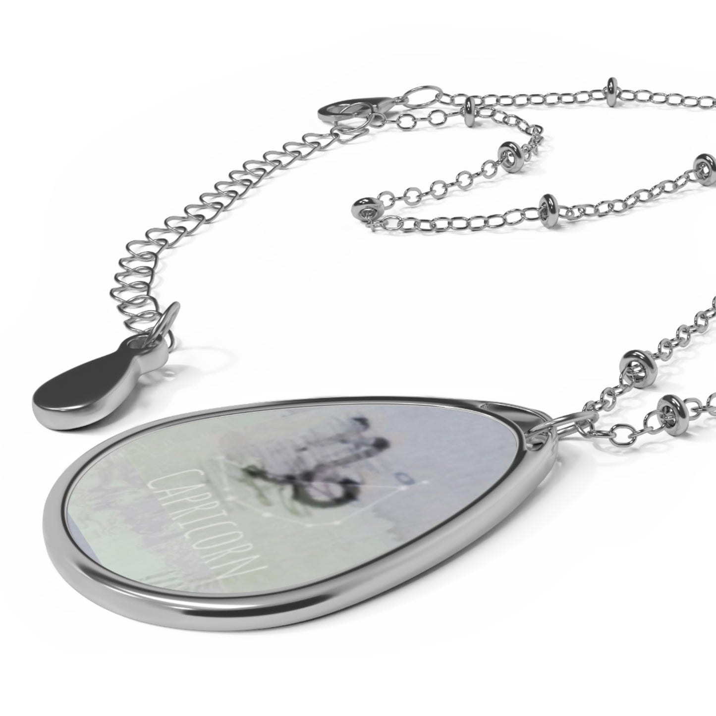 Zodiacs CAPRICORN Sign Pendant Necklace